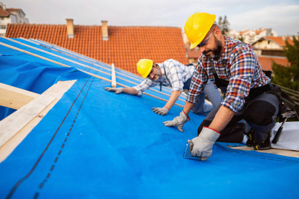 Roof Gutter Cleaning in Lakeside, TX